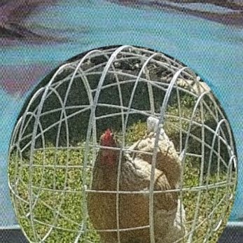 MagSailEnjoyer's profile picture. 