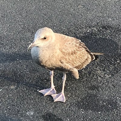 Liv2Give01's profile picture. Be present