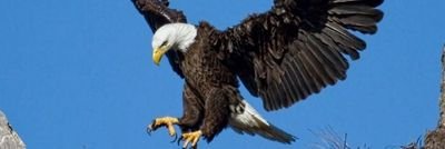 phankterek2001's profile picture. Aku