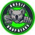 Aussie Drop Bears (@TheAussieBears) Twitter profile photo