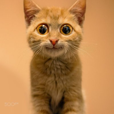 Feather1199's profile picture. Yo I’m a competitive Fortnite player please follow. Support twitchhttps://www.twitch.tv/muon5