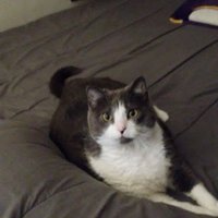 unk73fml (@unk73fml) 's Twitter Profile