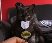 Smoriosamsejako's profile picture.