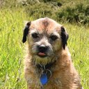 Philip Simms - @PhilipSimm41095 - Twitter