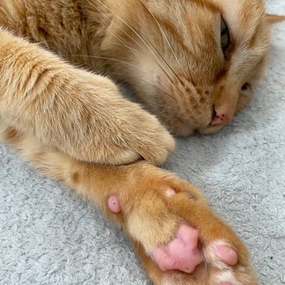 re_0923_'s profile picture. 