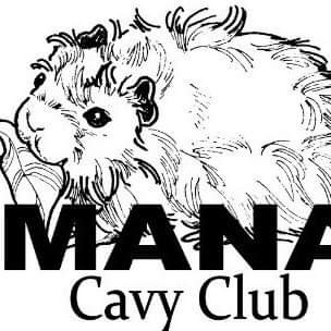 We are a Guinea Pig Club based in Wellington New Zealand we hold shows most months of the year. We are affiliated with the New Zealand Cavy Council.