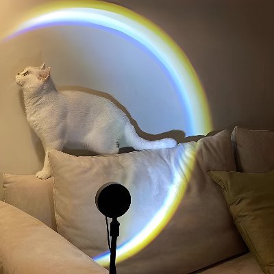 JeyBlain's profile picture. Sharing more practical and interesting items