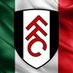 Fulham MEX 🇲🇽 (@FulhamMEX) Twitter profile photo