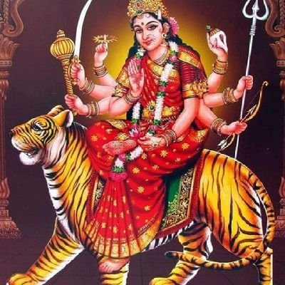 Senjeet21's profile picture. 