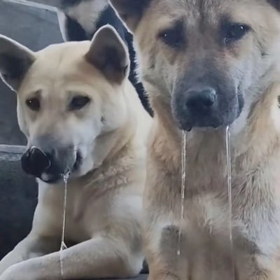 xiaoyang190613's profile picture. 