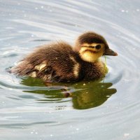 Jens Scheiter (@scheiter_j26121) Twitter profile photo