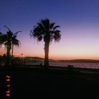 Serap Bahadır (@serapbahadirs) 's Twitter Profile