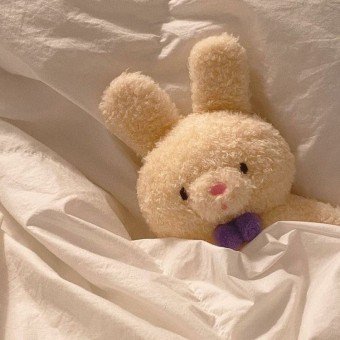 Iyxvenn's profile picture. 👀