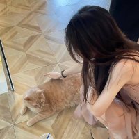 Kim Ji-young (@kylekylebusego) 's Twitter Profile