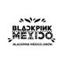 BLACKPINK MÉXICO UNIÓN (backup) (@BLACKPINKMXCO_) Twitter profile photo