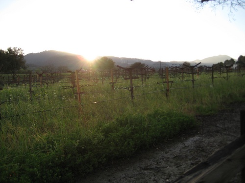 cocokothari's profile picture. Unapologetic democrat. Proud Houstonian. Avid Longhorn.