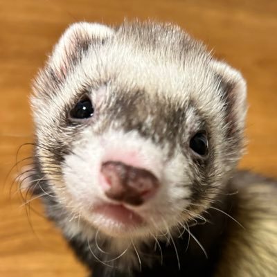 OnOdoubleL's profile picture. 経営者｜人材コンサル｜グロース屋｜EC事業｜複数事業準備中🔥｜趣味は旅行🌎｜Nomadになりたい｜パラレルワーク｜英韓中🗣｜パワフル系女子｜パワフルハラスメント