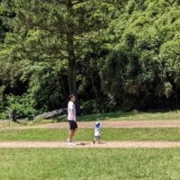 Seiya Tanaka (@schneidernakata) 's Twitter Profile Photo Seiya Tanaka (@schneidernakata) 's Twitter Profile Photo