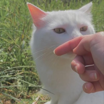 neleobrien's profile picture. 19