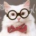 Science of the Day (@scienceoftheday) Twitter profile photo Science of the Day (@scienceoftheday) Twitter profile photo