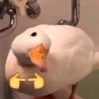 medeo132's profile picture. 