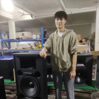 Soundlipu Audio_factory Outlet_China_Eric(@soundlipu60741) 's Twitter Profile Photo