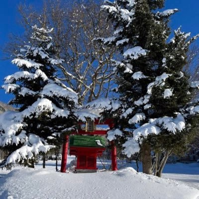 TevMLqIpXH40452's profile picture. 