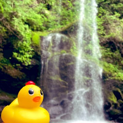 Soh4Me's profile picture. 美しい彼に沼りました♪ひらきよ🐥👑応援しています✨親世代🤣聖地巡礼、アヒル隊長大好きです😎低浮上中ですが、美しい彼への気持ちは変わりません💕