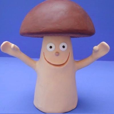 ぽこさんのプロフィール画像