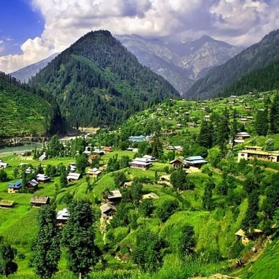 Kashmir_Positiv Profile Picture