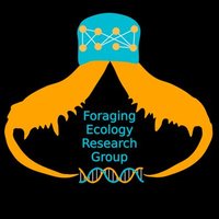 Foraging Ecology Research Group(@ForagingEcology) 's Twitter Profile Photo