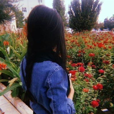 Vanshka55621's profile picture. 