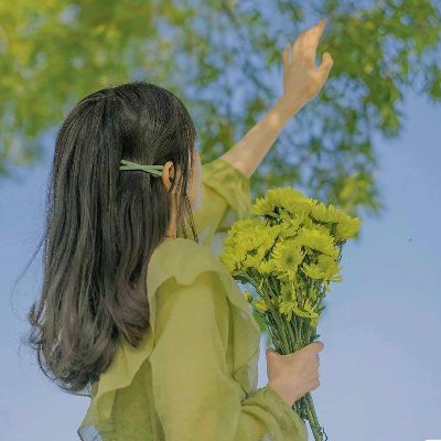 Xiaomi508's profile picture. 