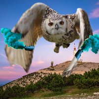 bengalo uhu (@bengalouhu) Twitter profile photo