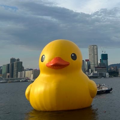 lexisusu's profile picture. Personal Account EM JBC