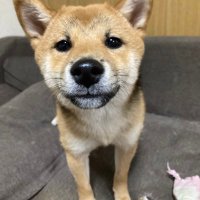 たか// (@takasuke0720) 's Twitter Profile