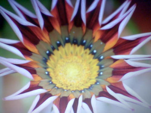 AnaPisca's profile picture. 