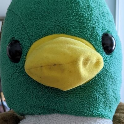 phodekka's profile picture. 