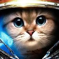 andrejsurkov007's profile picture. I am engaged in investments/cryptoinvestments. I love sports and reading books.