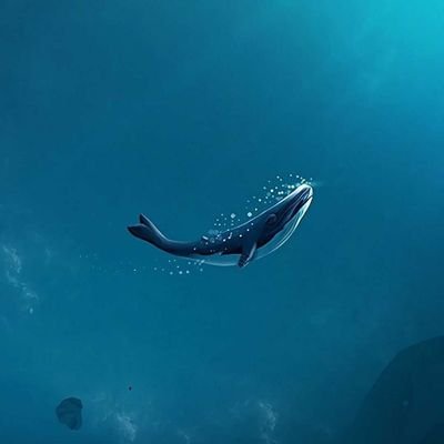 vanihastya's profile picture. 