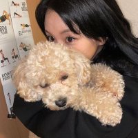 chae (@sonchaeyouvg) 's Twitter Profile