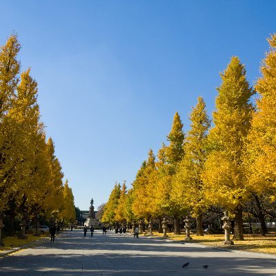 ban_lang83110's profile picture. 