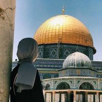hayat AlRohh (@rohhal) 's Twitter Profile Photo hayat AlRohh (@rohhal) 's Twitter Profile Photo