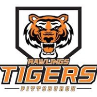 Rawlings Tigers Pittsburgh 18U Showcase (@tgrspghshowcase) 's Twitter Profile