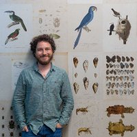 Victor Beccari (@beccarivictor) 's Twitter Profile Photo Victor Beccari (@beccarivictor) 's Twitter Profile Photo