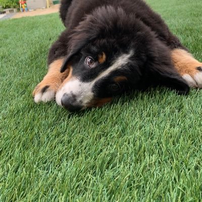 RaxaSalon's profile picture. エホバの証人として生まれ、育てられる。排斥されて約16年、母になり12年。迷走しながらも、なんとか37年。今までは隠してきたけど、今だから言える事、今だから思う事。