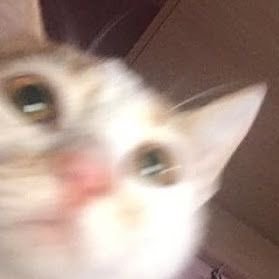 meowingwpas's profile picture. he/him, 19