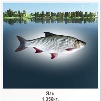 VBurov53209's profile picture. 