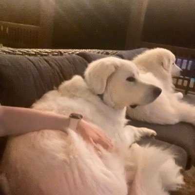 ByraKasia's profile picture. 