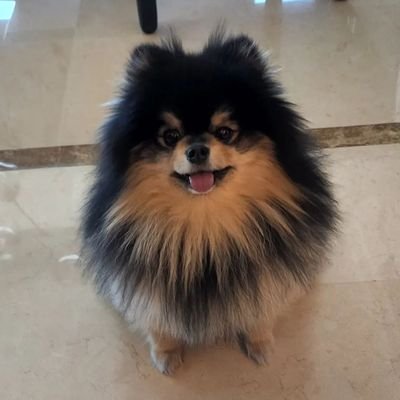 Lovelyc44843511's profile picture. love yourself 💜
life goes on 👻